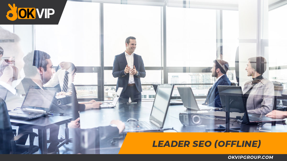 Okvip tuyển dụng việc làm Leader SEO website
