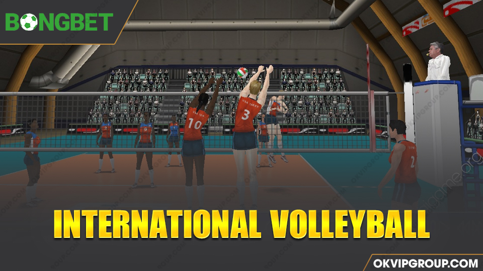 International Volleyball - Bóng chuyền quốc tế