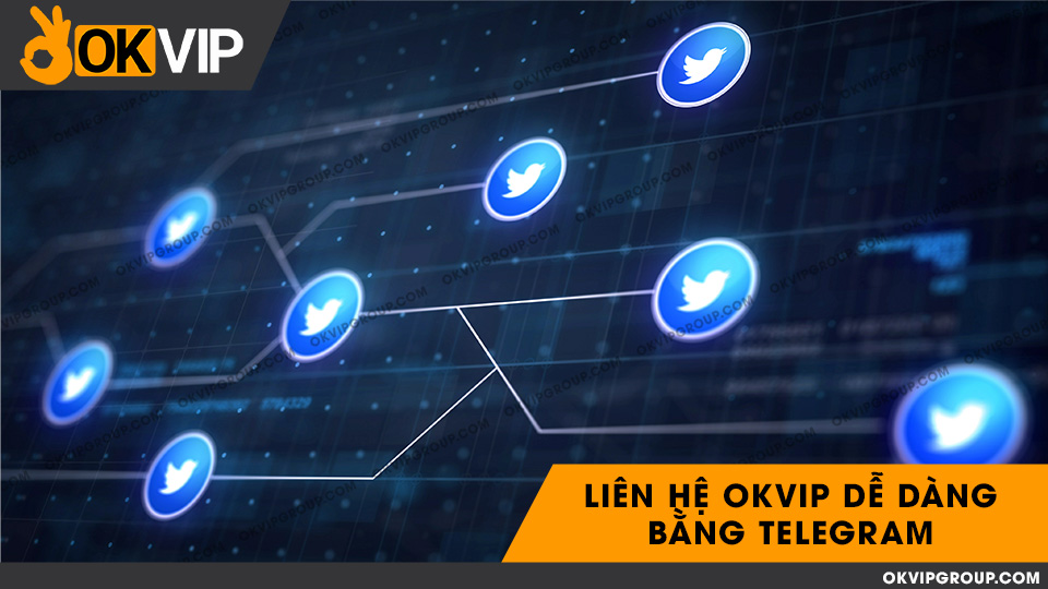 Telegram là nền tảng được OKVIP sử dụng nhiều nhất trong liên lạc