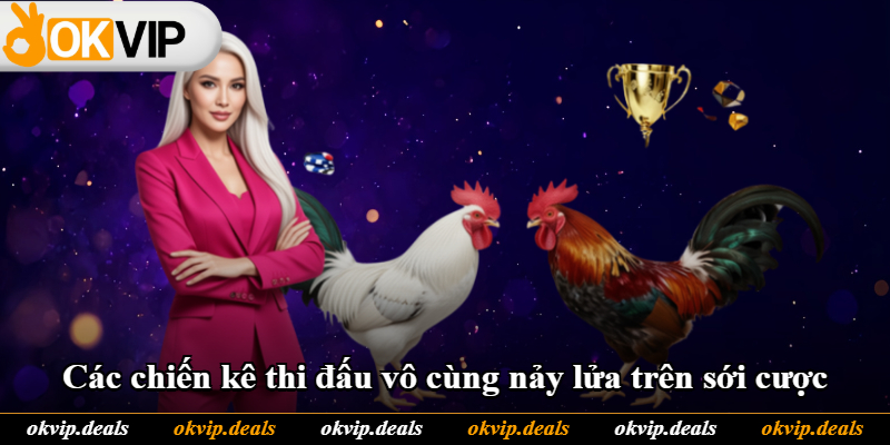 Các chiến kê thi đấu vô cùng nảy lửa trên sới cược