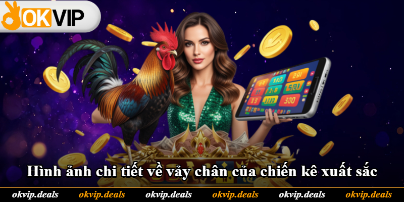 Hình ảnh chi tiết về vảy chân của chiến kê xuất sắc Hình ảnh chi tiết về vảy chân của chiến kê xuất sắc