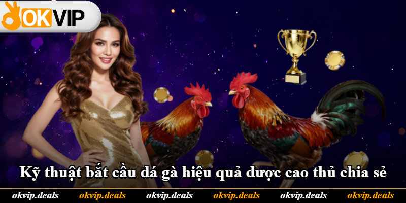Kỹ thuật bắt cầu đá gà hiệu quả được cao thủ chia sẻ