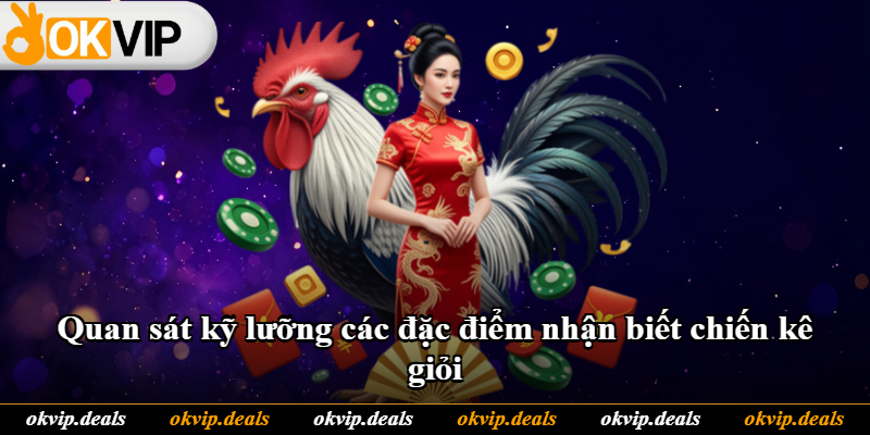 Quan sát kỹ lưỡng các đặc điểm nhận biết chiến kê giỏi Quan sát kỹ lưỡng các đặc điểm nhận biết chiến kê giỏi