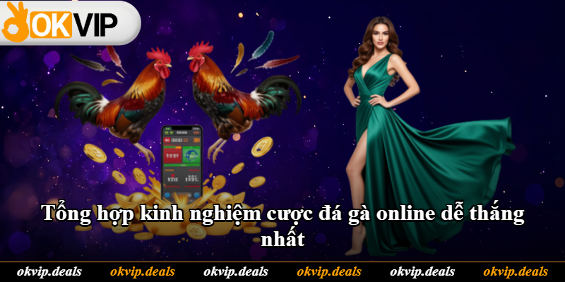 Tổng hợp kinh nghiệm cược đá gà online dễ thắng nhất Tổng hợp kinh nghiệm cược đá gà online dễ thắng nhất